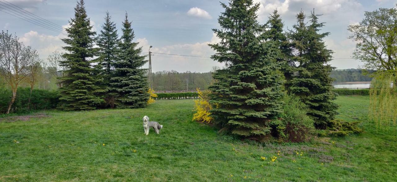 Gosciniec Szostak Villa Czarnowka Bagian luar foto